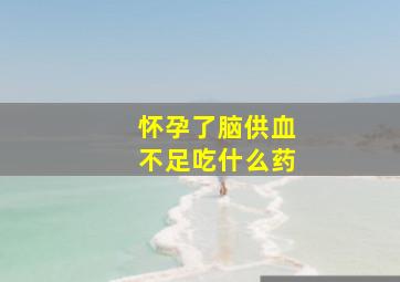 怀孕了脑供血不足吃什么药