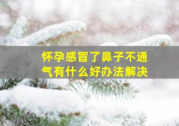 怀孕感冒了鼻子不通气有什么好办法解决