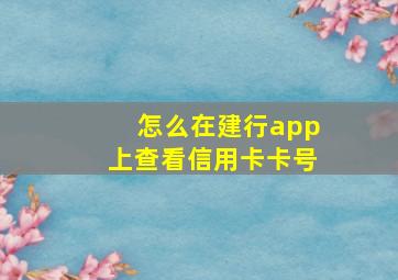 怎么在建行app上查看信用卡卡号