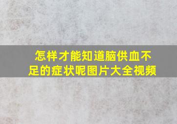 怎样才能知道脑供血不足的症状呢图片大全视频