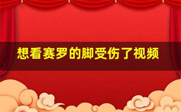 想看赛罗的脚受伤了视频