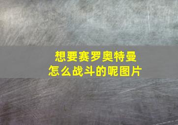 想要赛罗奥特曼怎么战斗的呢图片