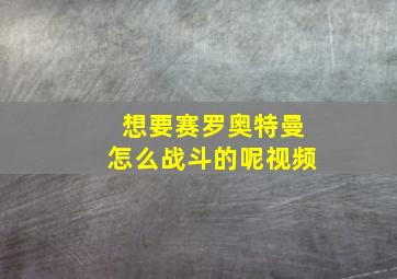 想要赛罗奥特曼怎么战斗的呢视频