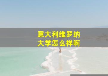 意大利维罗纳大学怎么样啊