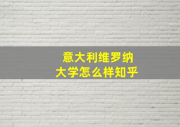 意大利维罗纳大学怎么样知乎