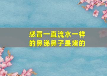 感冒一直流水一样的鼻涕鼻子是堵的