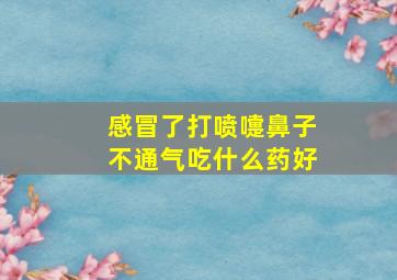 感冒了打喷嚏鼻子不通气吃什么药好