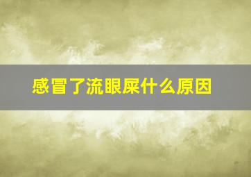 感冒了流眼屎什么原因