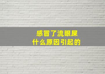 感冒了流眼屎什么原因引起的