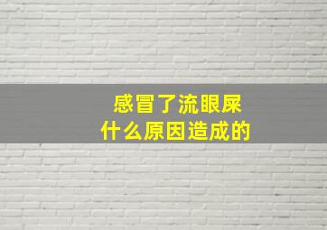 感冒了流眼屎什么原因造成的