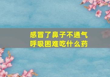 感冒了鼻子不通气呼吸困难吃什么药