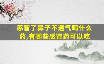 感冒了鼻子不通气喝什么药,有哪些感冒药可以吃