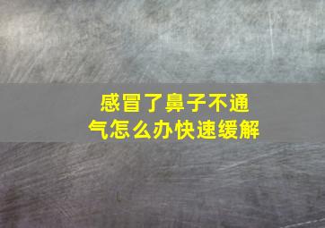 感冒了鼻子不通气怎么办快速缓解