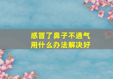 感冒了鼻子不通气用什么办法解决好