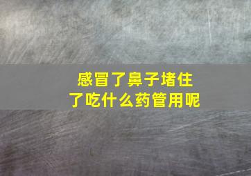 感冒了鼻子堵住了吃什么药管用呢