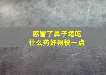 感冒了鼻子堵吃什么药好得快一点