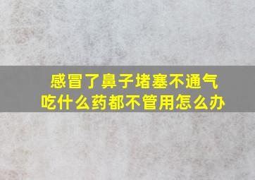 感冒了鼻子堵塞不通气吃什么药都不管用怎么办