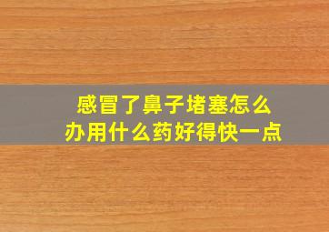 感冒了鼻子堵塞怎么办用什么药好得快一点