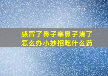 感冒了鼻子塞鼻子堵了怎么办小妙招吃什么药