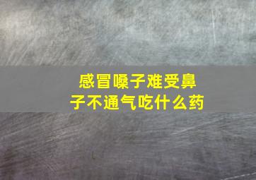 感冒嗓子难受鼻子不通气吃什么药