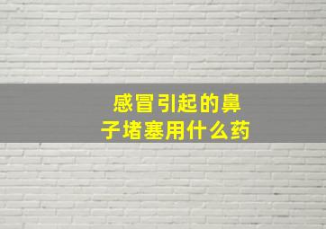 感冒引起的鼻子堵塞用什么药