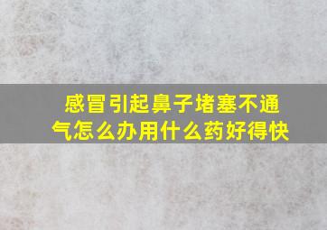 感冒引起鼻子堵塞不通气怎么办用什么药好得快