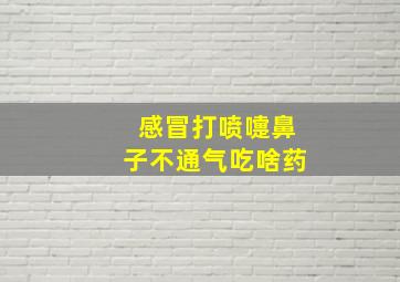 感冒打喷嚏鼻子不通气吃啥药