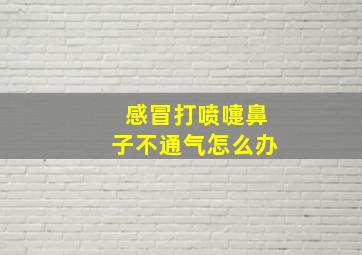 感冒打喷嚏鼻子不通气怎么办