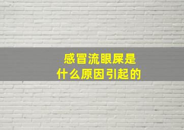 感冒流眼屎是什么原因引起的