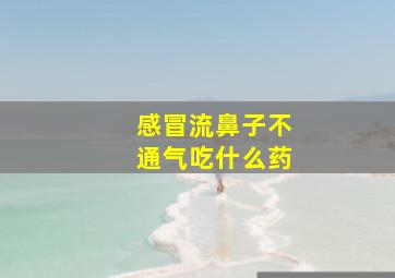 感冒流鼻子不通气吃什么药