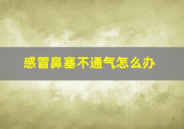 感冒鼻塞不通气怎么办