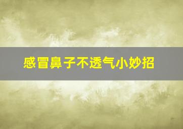 感冒鼻子不透气小妙招