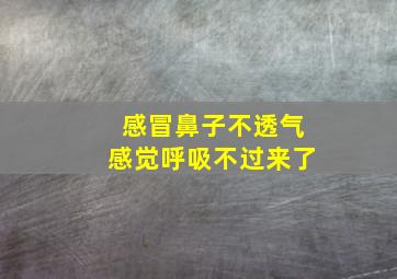 感冒鼻子不透气感觉呼吸不过来了