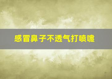 感冒鼻子不透气打喷嚏