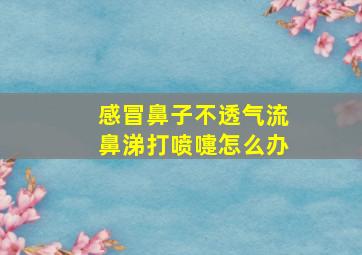 感冒鼻子不透气流鼻涕打喷嚏怎么办