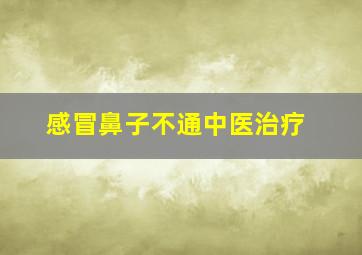 感冒鼻子不通中医治疗