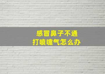 感冒鼻子不通打喷嚏气怎么办