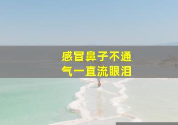 感冒鼻子不通气一直流眼泪