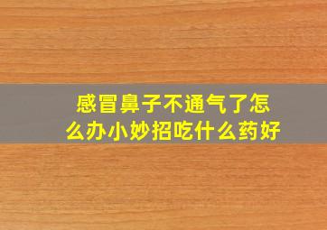 感冒鼻子不通气了怎么办小妙招吃什么药好