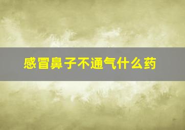 感冒鼻子不通气什么药