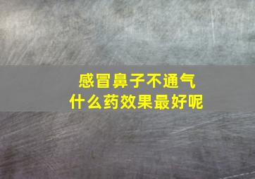 感冒鼻子不通气什么药效果最好呢