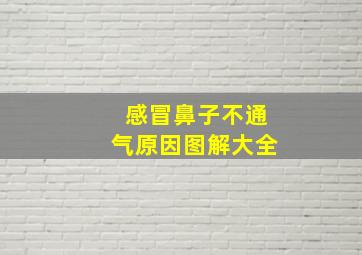 感冒鼻子不通气原因图解大全