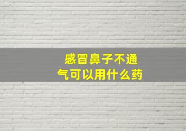 感冒鼻子不通气可以用什么药