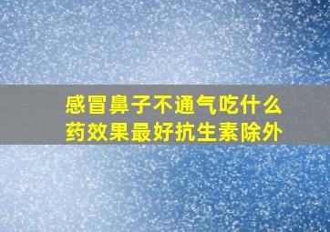 感冒鼻子不通气吃什么药效果最好抗生素除外