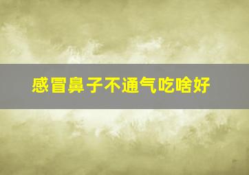 感冒鼻子不通气吃啥好