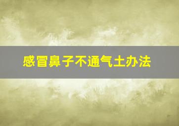 感冒鼻子不通气土办法