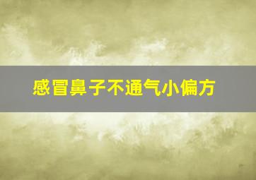 感冒鼻子不通气小偏方