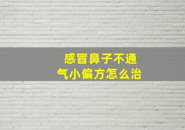 感冒鼻子不通气小偏方怎么治