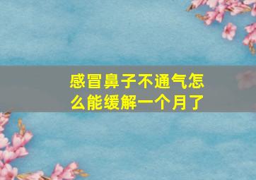 感冒鼻子不通气怎么能缓解一个月了