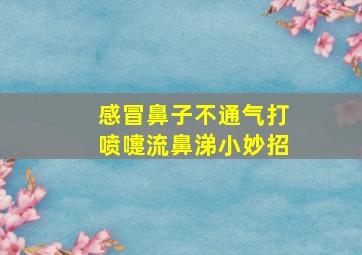 感冒鼻子不通气打喷嚏流鼻涕小妙招